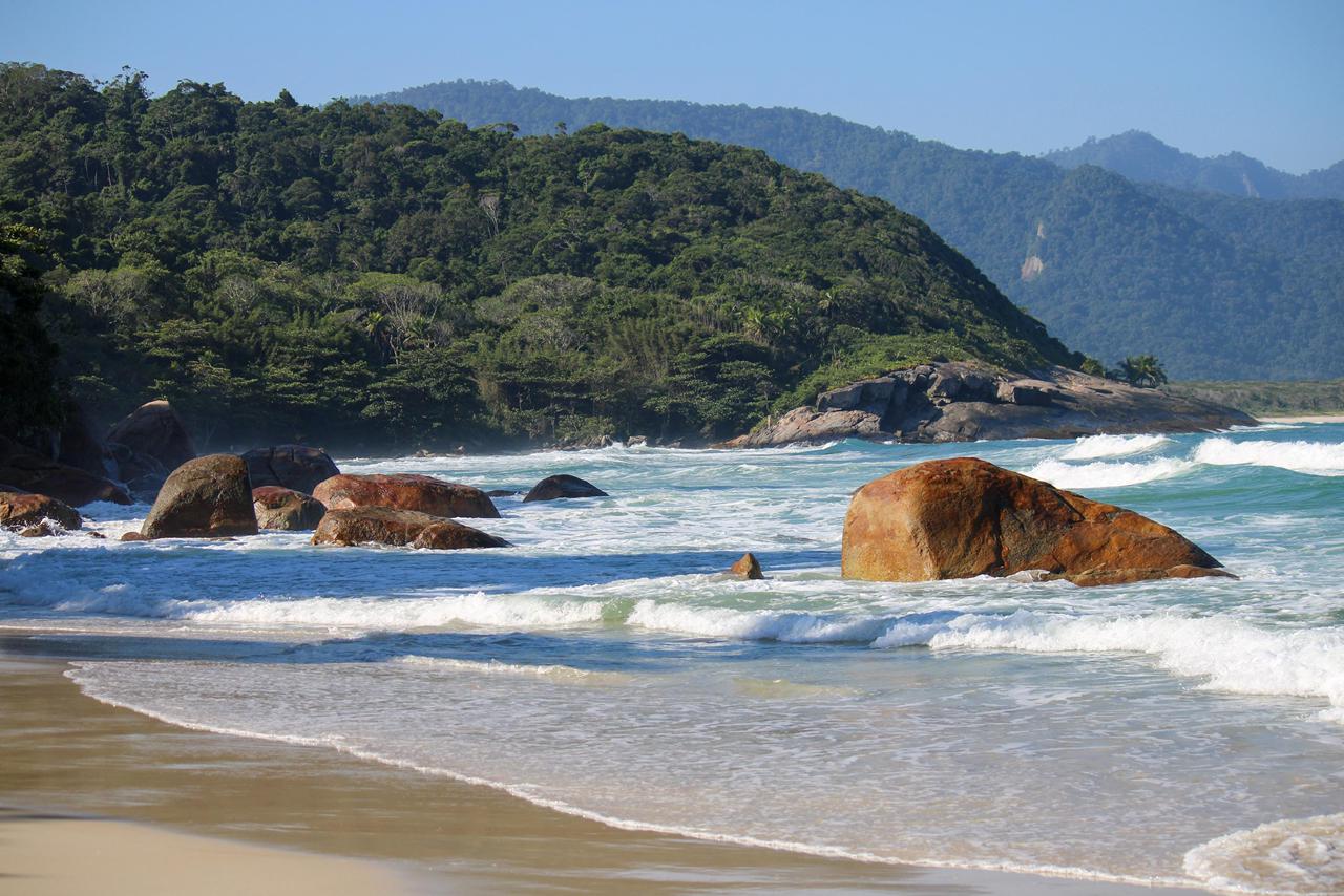 Surf Trips Rayza Silveira