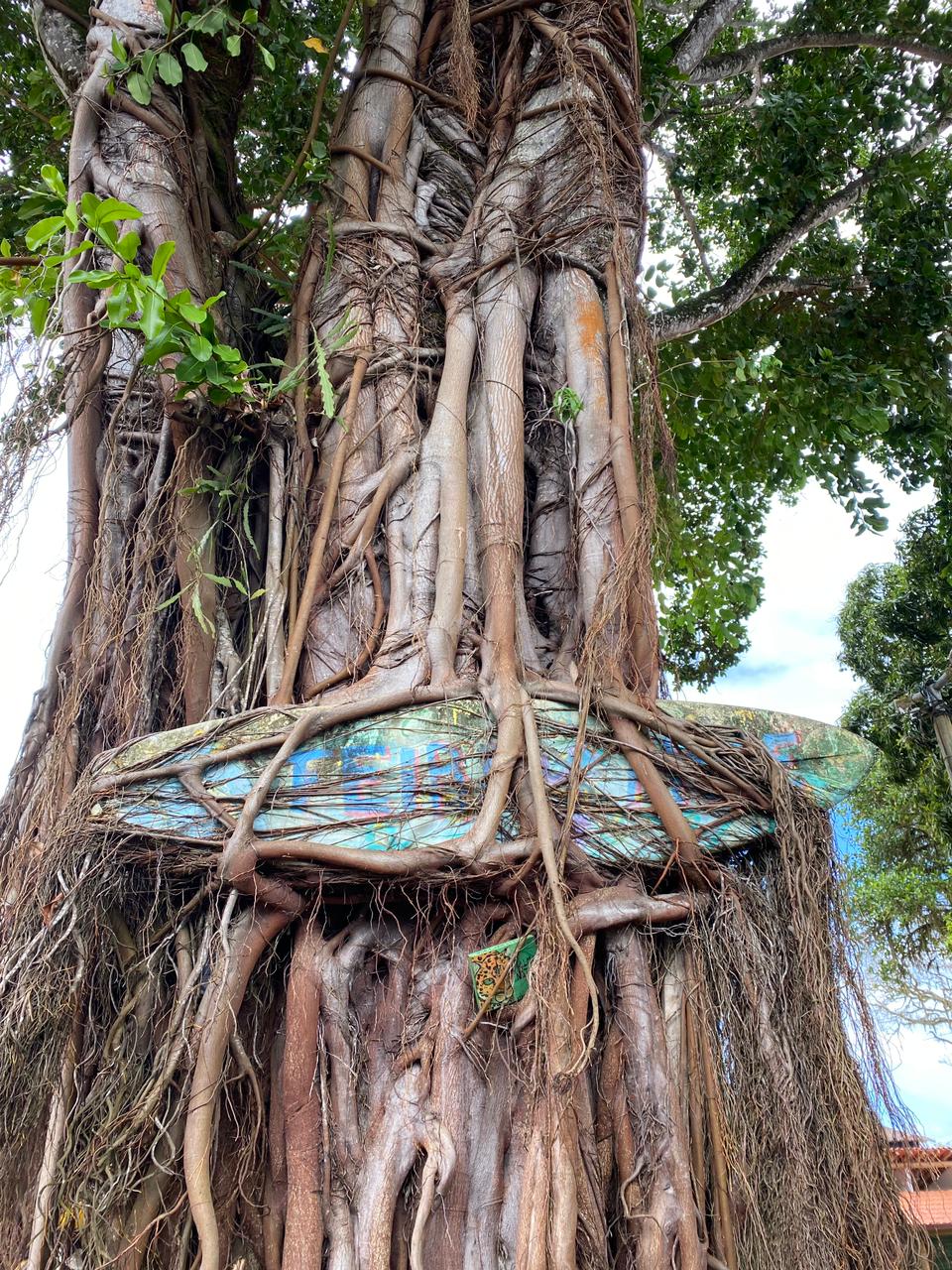Trip Itacaré – Bahia